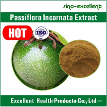 High Quality Passion Fruit Extract, Passion Fruit Extract Powder, Passiflora Caerulea L.